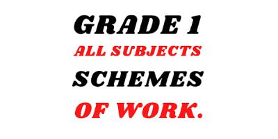 Scheme Of Work Grade 1 Term 1